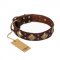 "Golden Square" FDT Artisan Brown Leather Amstaff Collar with Large Squares