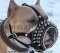 Royal Spiked Leather Dog Muzzle