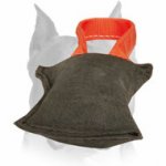 Amstaff Leather Bite Tug for Professional Training