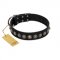 "Black Eagle" Handcrafted FDT Artisan Black Leather Amstaff Collar with Silver-Like Adornments