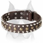 Amstaff Leather Dog Collar with Half-Ball Studs and Pyramids