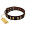"Peace and Harmony" FDT Artisan Brown Leather Amstaff Collar with Plates