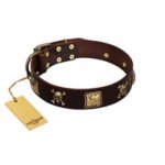"Crazy Pirate" FDT Artisan Brown Leather Amstaff Collar with Old Bronze-Plated Skulls and Plates