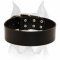 Extra Wide Classic Style Leather Dog Collar for Amstaff