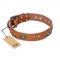 "Stunning Dress" FDT Artisan Tan Leather Amstaff Collar with Old Bronze Look Plates and Studs