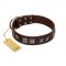 "Needle Stories" Modern FDT Artisan Brown Leather Amstaff Collar with Square Engraved Plates and Four-Point Stars