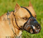 Designer Leather dog muzzle for American Staffordshire Terrier