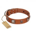 "Amorous Escapade" Embellished FDT Artisan Tan Leather Amstaff Collar with Chrome Plated Crossbones and Plates