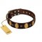"Crystal Mirror" FDT Artisan Handmade Brown Leather Amstaff Collar - 1 1/2 inch (40 mm) Wide