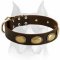 Retro Design Leather Amstaff Dog Collar