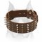 Outstanding Leather Dog Collar with spikes and studs for your Amstaff