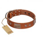 "Great Obelisk" Handcrafted FDT Artisan Tan Leather Amstaff Collar with Large Plates and Pyramids