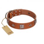 "Lucky Star" FDT Artisan Tan Leather Amstaff Collar with Silver-Like Embellishments