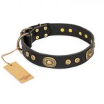 "Golden Radiance" FDT Artisan Black Leather Amstaff Collar with Old Bronze Look Ovals and Circles