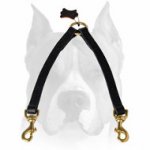 Amstaff Stitched Leather Dog Coupler Leash for 2 Dogs