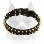 Amstaff Spiked Genuine Leather Dog Collar with Buckle