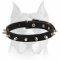 Originally Designed Leather Dog Collar With Cool Spikes for Amstaff Breed