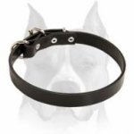 Master Leather Dog Collar For Amstaff