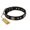 "High Fashion" FDT Artisan Studded with Plates Black Leather Amstaff Collar