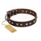"Golden"n"Silver Luxury" FDT Artisan Leather Amstaff Collar with Engraved Studs