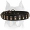 Fashionable Amstaff Leather Dog Collar Designed with Shiny Nickel Plates
