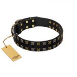 "Refined Pattern" FDT Artisan Black Leather Amstaff Collar with Two Rows of Stunning Decorations