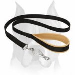 Amstaff Nylon Dog Leash with Soft Handle for Everyday Activities