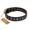 "Victory Ode" FDT Artisan Brown Leather Amstaff Collar with Silver-like Plated Decorations