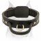 2 Ply Leather Dog Collar with Handle for Amstaff Protection Training