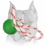 Amstaff Solid Rubber Ball with Dots for Training