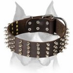 Amstaff Genuine Leather Dog Collar with 4 Rows of Spikes