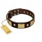 "Heavy Metal" FDT Artisan Brown Leather Amstaff Collar with Old Bronze-like Skulls and Plates