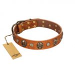 "Call of Feat" FDT Artisan Tan Leather Amstaff Collar with Old Bronze-like Studs and Oval Brooches