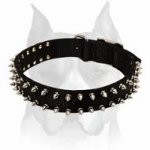 Nylon Amstaff Dog Collar with Spikes