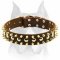 Gorgeous Amstaff Leather Dog Collar with 2 Rows of Brass Spikes and 1 row of Nickel Studs