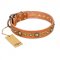 "Feast of Luxury" FDT Artisan Tan Leather Amstaff Collar with Old Bronze Look Circles