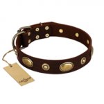 "Hebe's Jewel" FDT Artisan Brown Genuine Leather Amstaff Collar