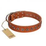 "Star Trek" FDT Artisan Tan Leather Amstaff Collar Decorated with Stars