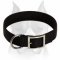 Belt Nylon Collar For Amstaff