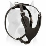 Heavy Duty Dog Harness for Amstaff