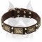Amstaff Leather Dog Collar Decorated with Massive Brass Plates