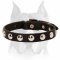 Amstaff Leather Dog Collar with Half-Ball Studs