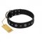 "Mr. Elegance" Designer FDT Artisan Black Leather Amstaff Collar with Silver-Like Studs