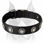Conchos Designed Extra Wide Nylon Dog Collar for Amstaff