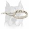 Stainless Neck Tech Dog Prong Collar for Amstaff