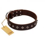 "Boundless Energy" Premium Quality FDT Artisan Brown Designer Leather Amstaff Collar with Small Pyramids