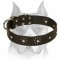 "Flower Blues" Leather Amstaff Collar for Walking in Style