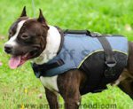 Nylon Dog Vest for American Staffordshire Terrier
