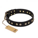 "Black Elegance" FDT Artisan Leather Amstaff Collar with Round Studs