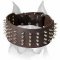 Amstaff Extra-Large 3 Inch Leather Dog Collar with Spikes
